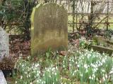 image of grave number 55244